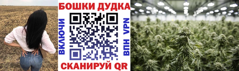 Все наркотики Ставрополь АМФЕТАМИН  МАРИХУАНА  МДМА  Галлюциногенные грибы  COCAIN  Гашиш  Мефедрон 