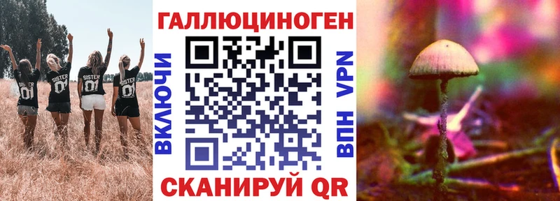 Псилоцибиновые грибы Psilocybe Ставрополь